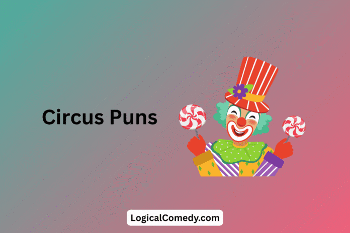 Circus Puns