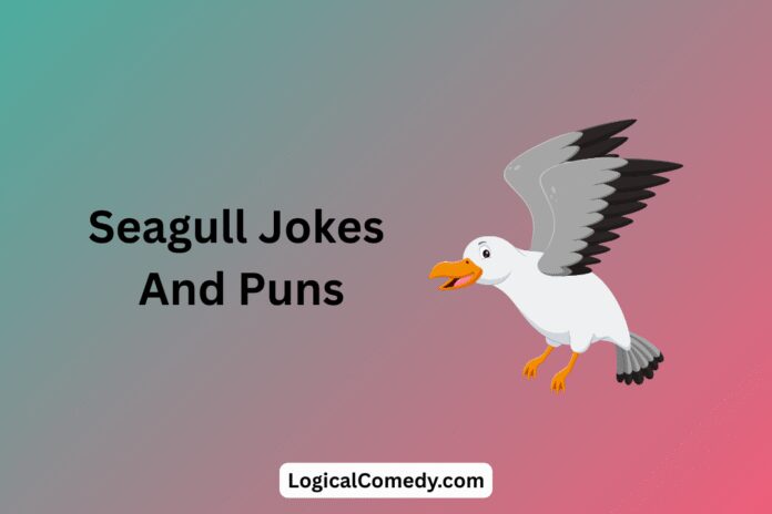 Seagull Jokes