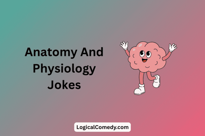 Anatomy Jokes