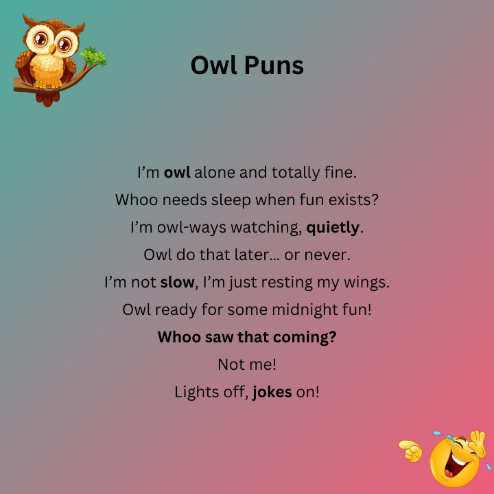 Funny Owl Puns