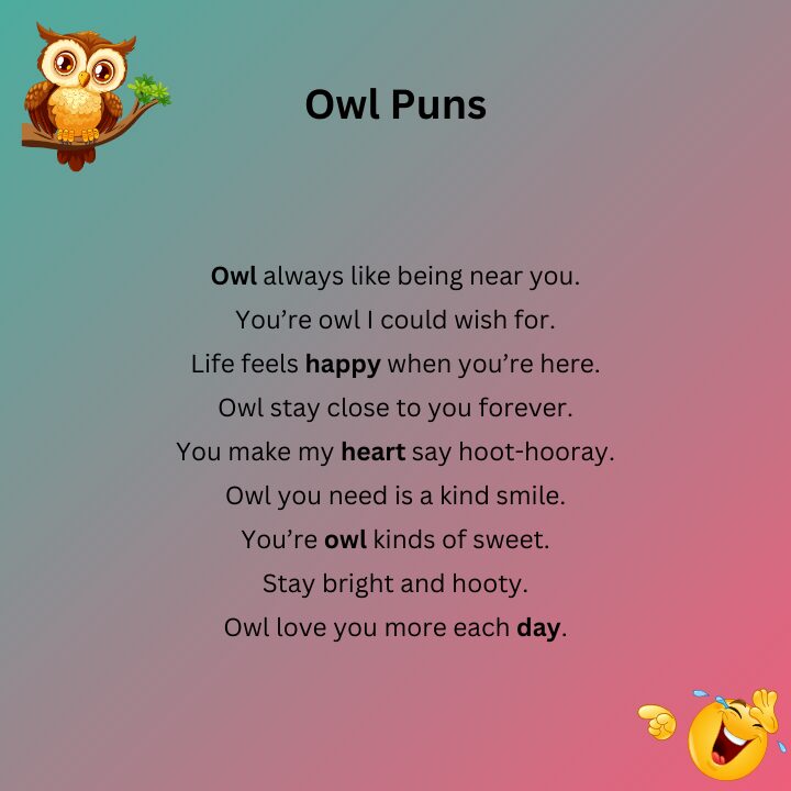 Owl Puns Cute Owl Sayings