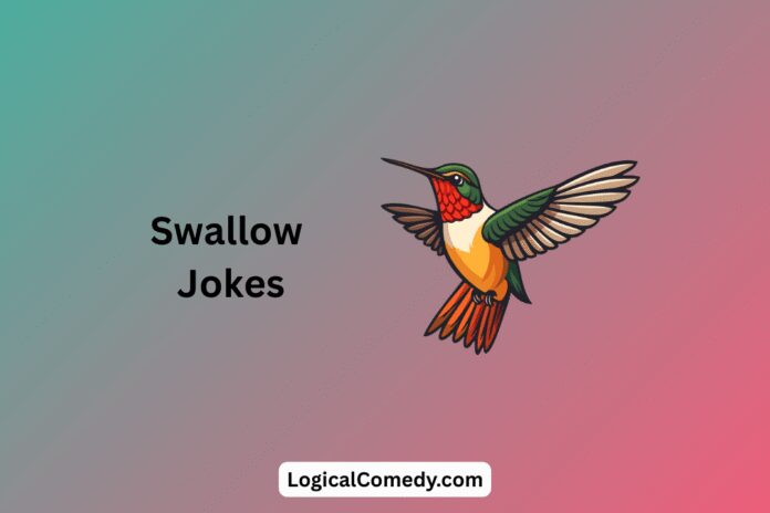 Swallow Jokes