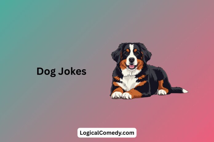 Dog Jokes