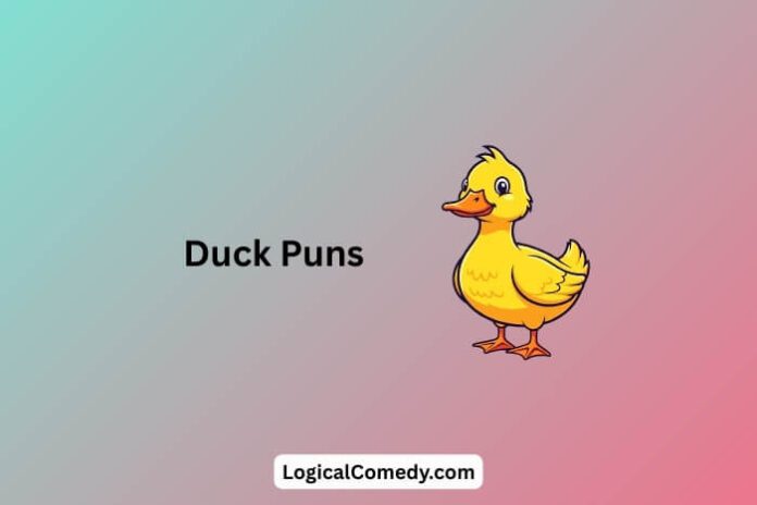 Duck Puns