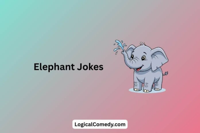 Elephant Jokes