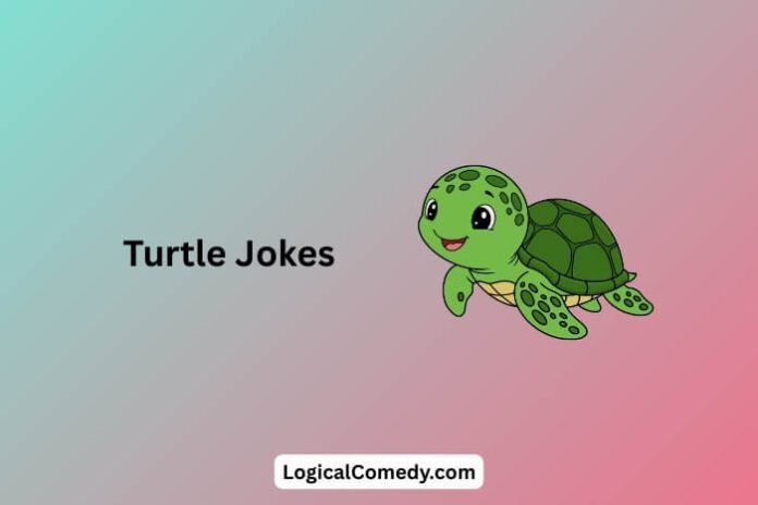 Turtle Jokes