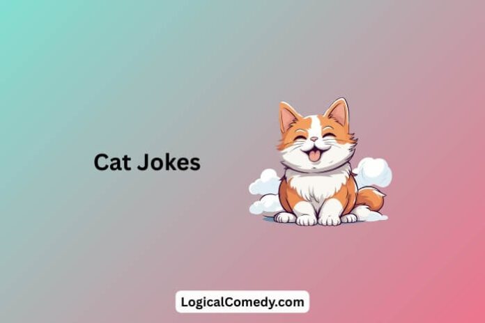 Cat Jokes