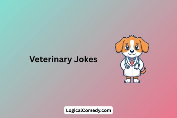 Veterinary Jokes