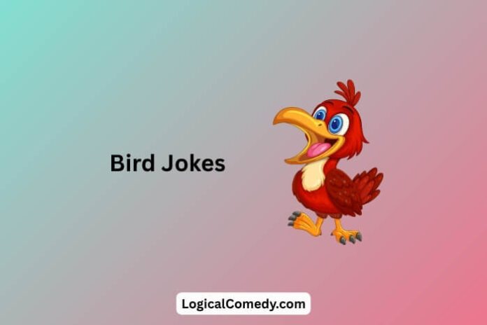 Bird Jokes