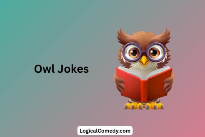 Owl Jokes