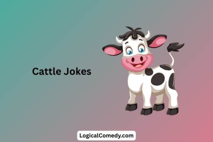 Cattle Jokes