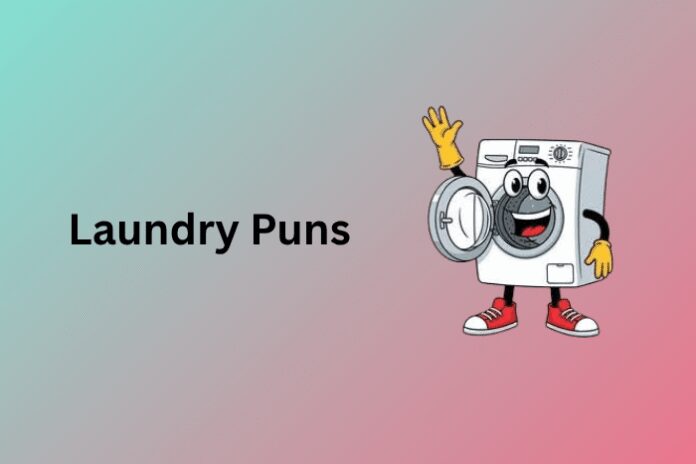 Laundry Puns