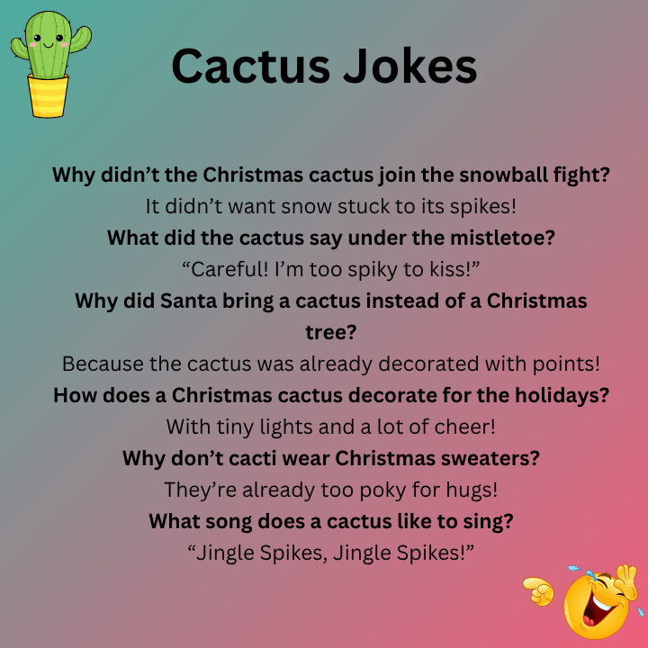 Christmas Cactus Jokes