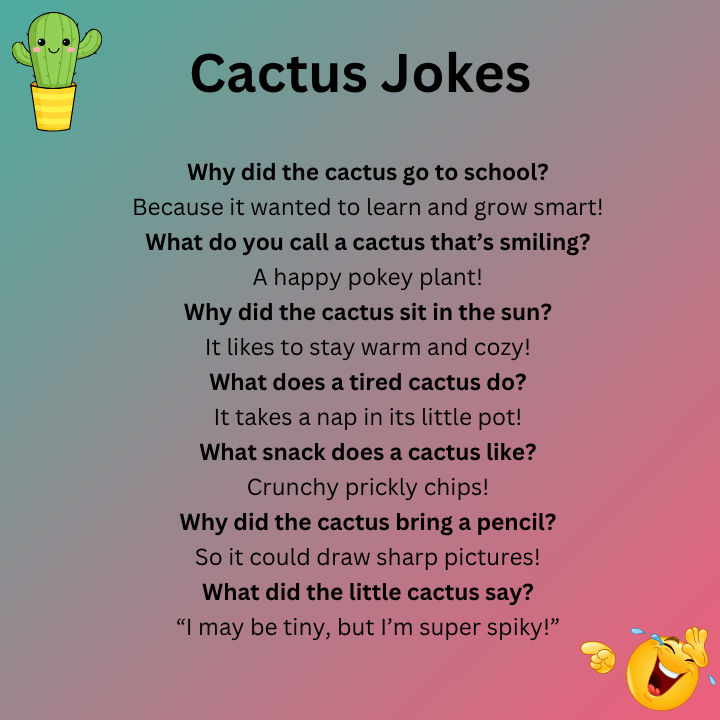 Funny Cactus Jokes For Kids