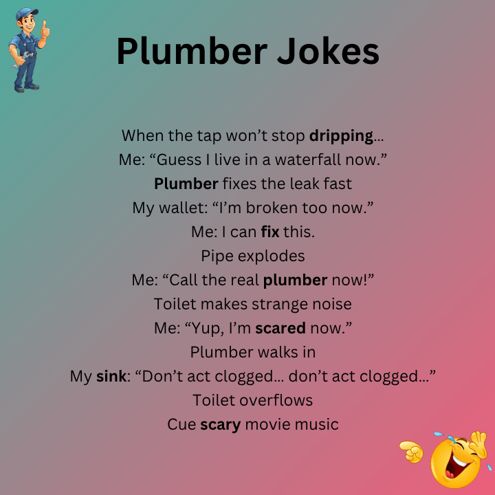 Plumber Jokes Meme