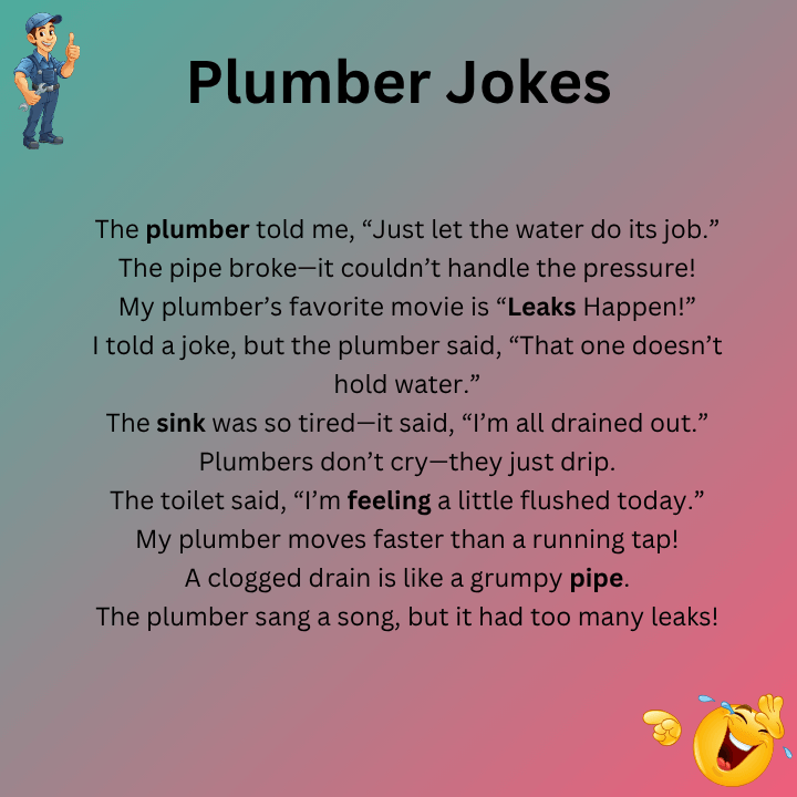Plumber Jokes One Liners