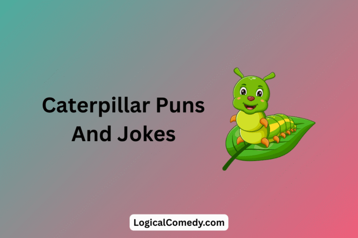 Caterpillar Puns And Jokes Caterpillar Puns And Jokes