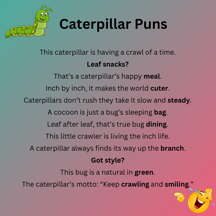 Caterpillar Puns