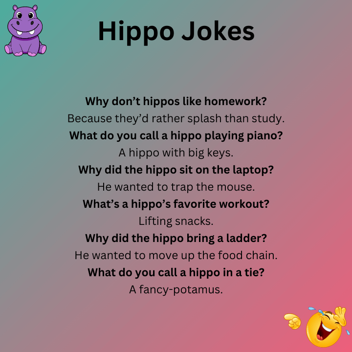 Funny Hippo Jokes