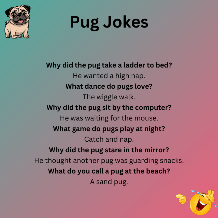 Funny Pug Jokes