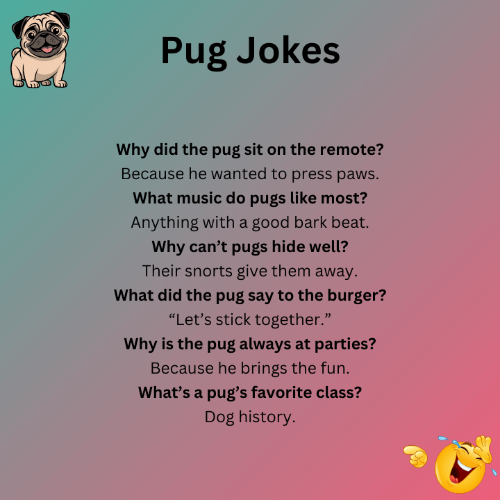 Pug Jokes