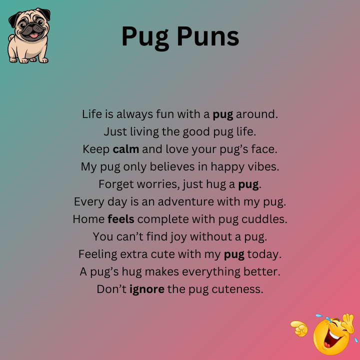 Pug Puns
