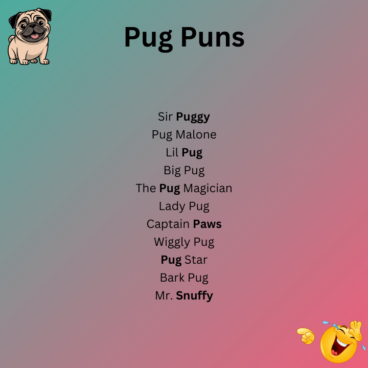 Pug Puns Names