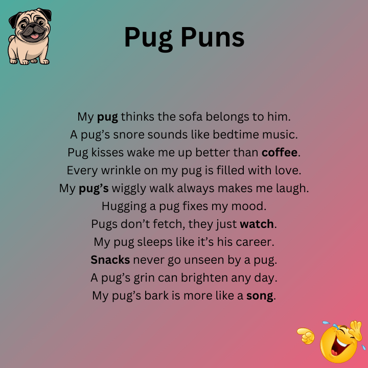 Pug Puns One Liners