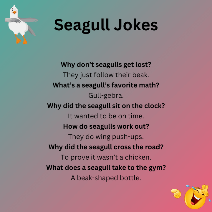 Seagull Dad Joke