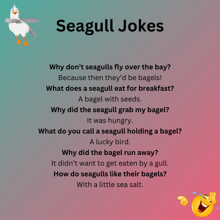 Seagull Joke Bagel
