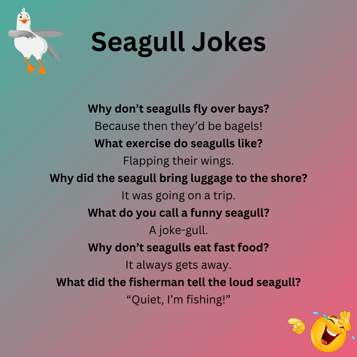 Seagull Jokes