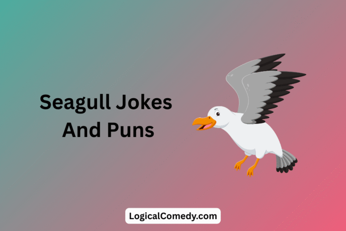 Seagull Jokes Seagull Jokes