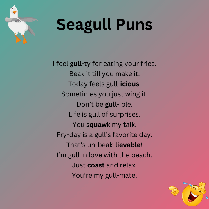 Seagull Puns One Liners