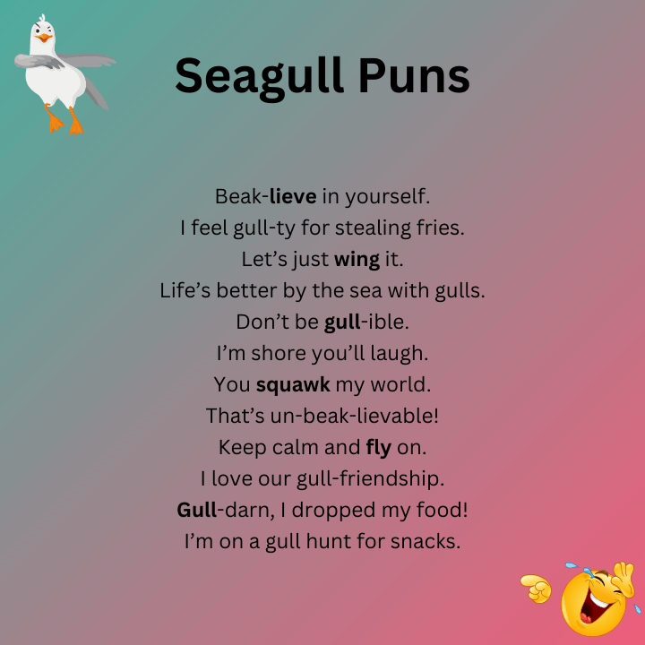 Seagull Puns