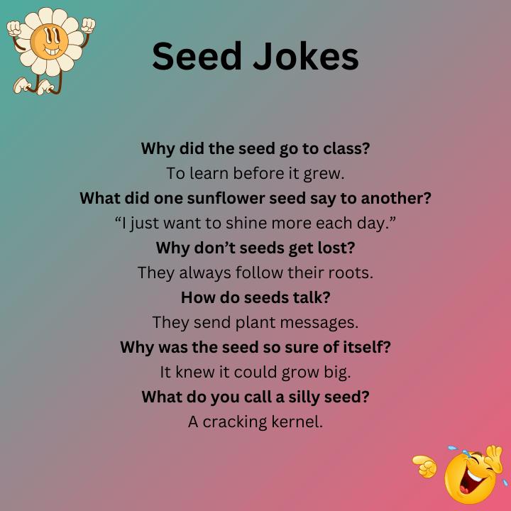 Seed Jokes