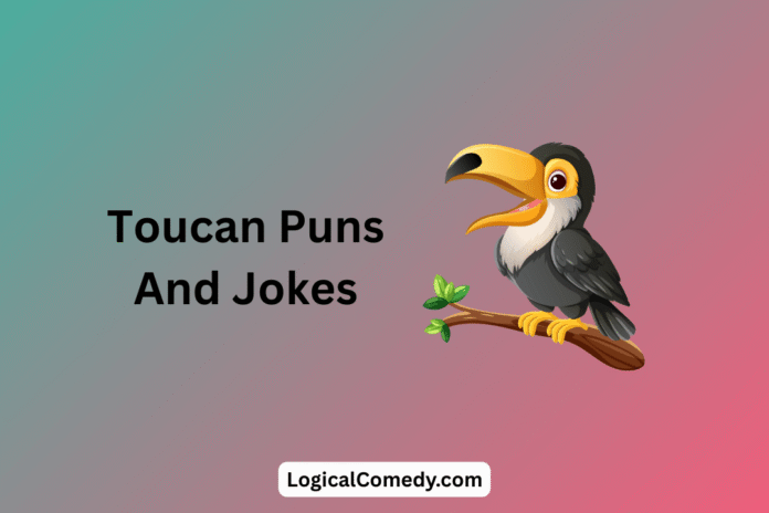 Toucan Puns Toucan Puns
