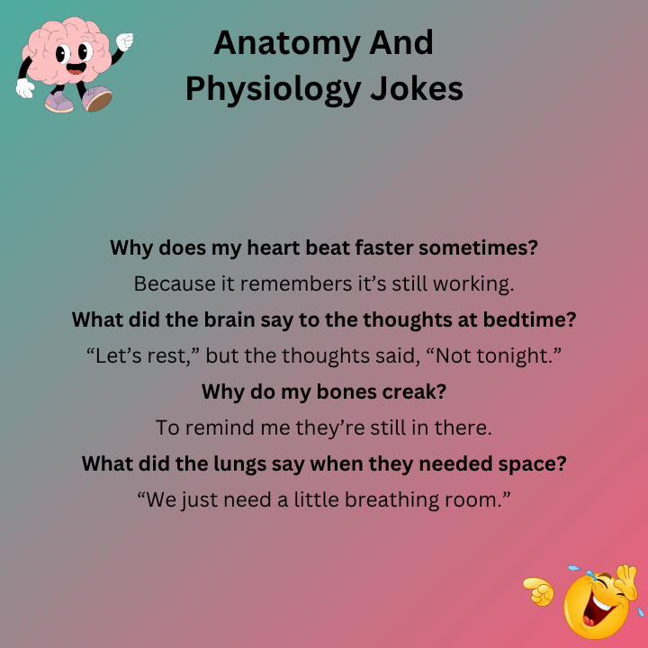Anatomy And Physiology Jokes