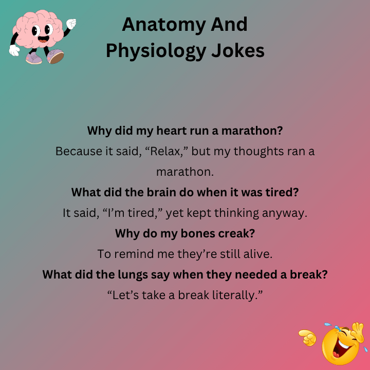 Best Anatomy And Physiology Jokes