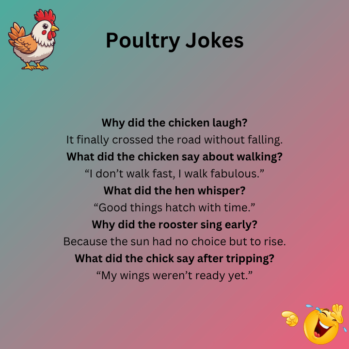 Best Chicken Joke Ever