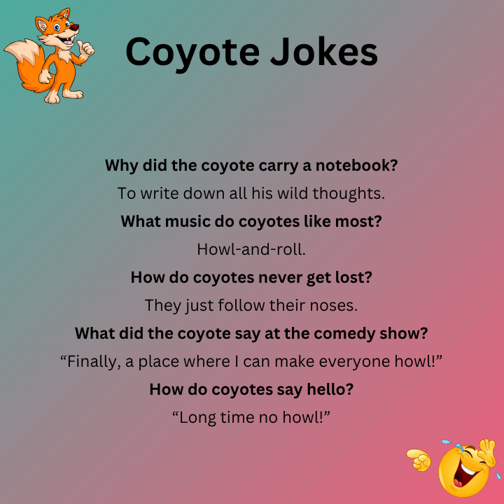Coyote Jokes