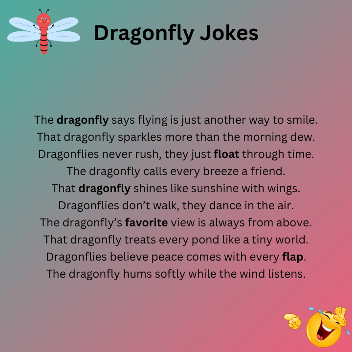 Dragonfly Jokes One Liners