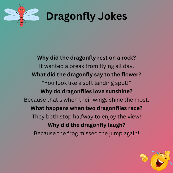 Dragonfly Jokes