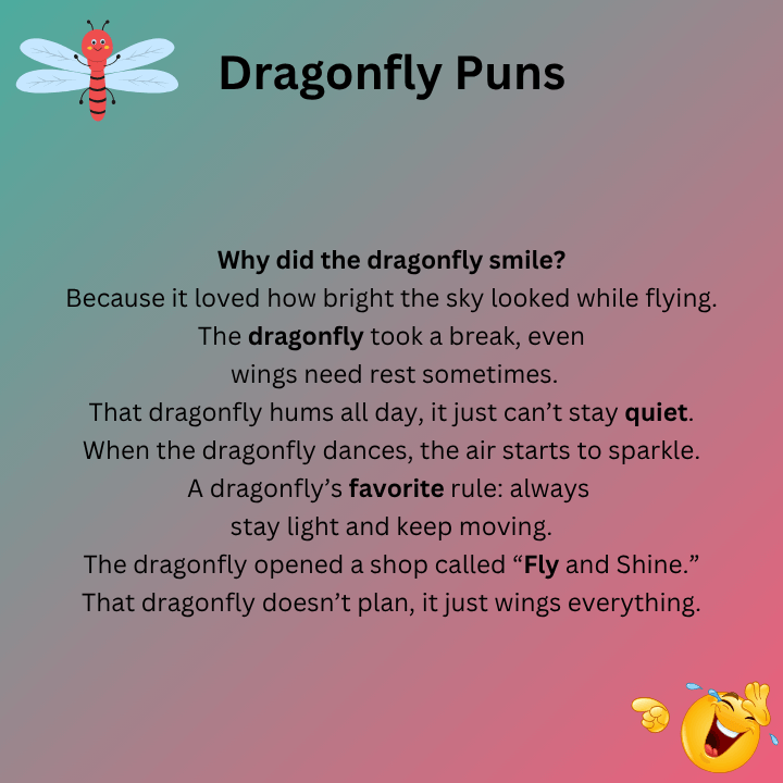 Dragonfly Puns