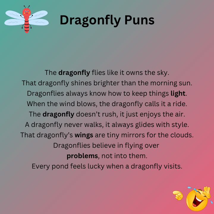 Dragonfly Puns One Liners