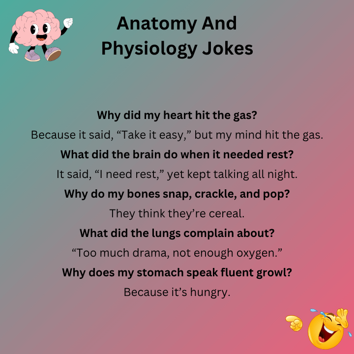 Funny Anatomy And Physiology Jokes