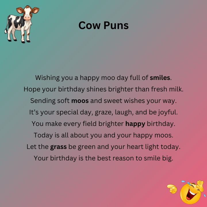 Birthday Cow Puns