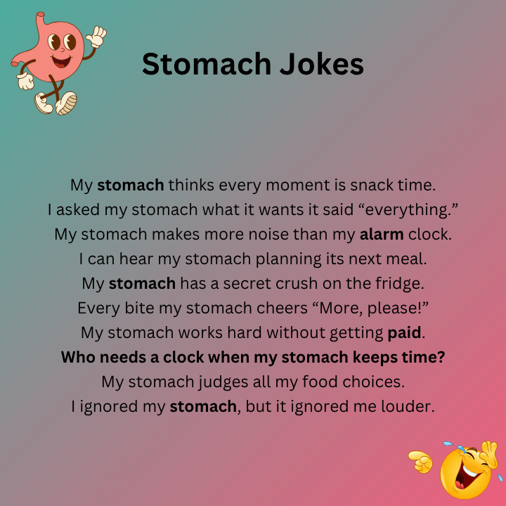 Stomach Jokes One Liners