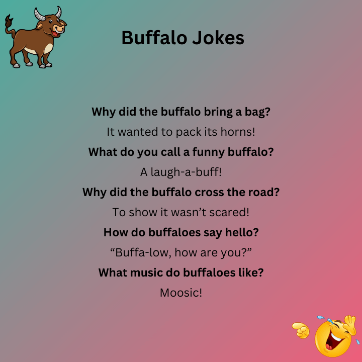 Buffalo Jokes