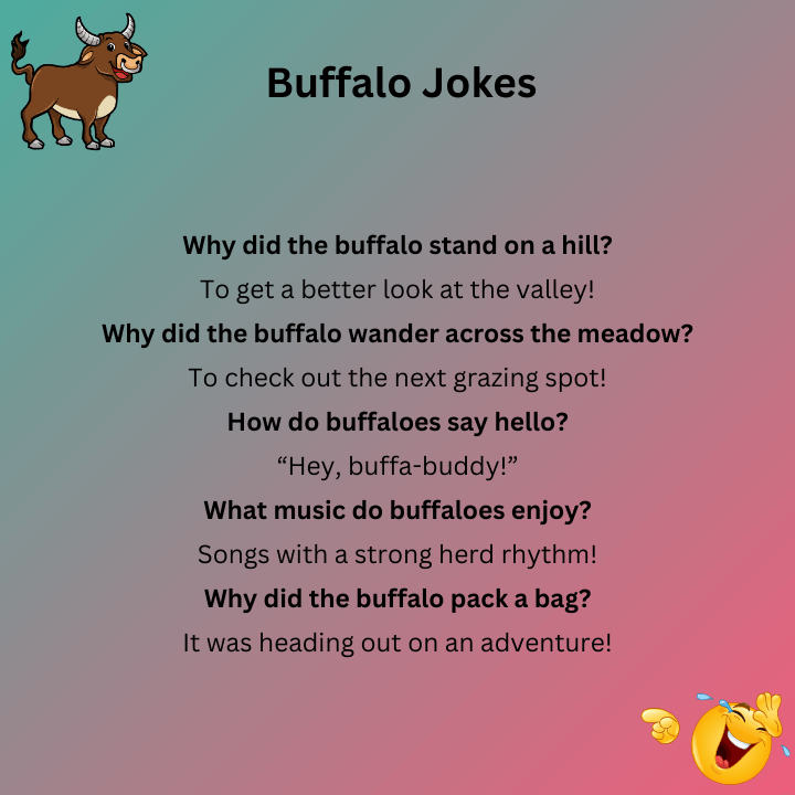 Buffalo Jokes One Liners