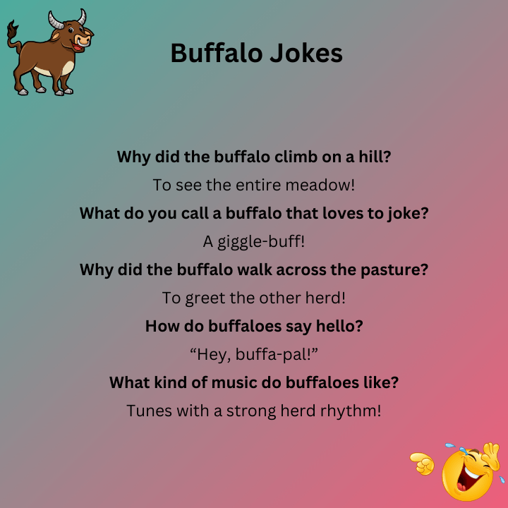 Short Buffalo Jokes